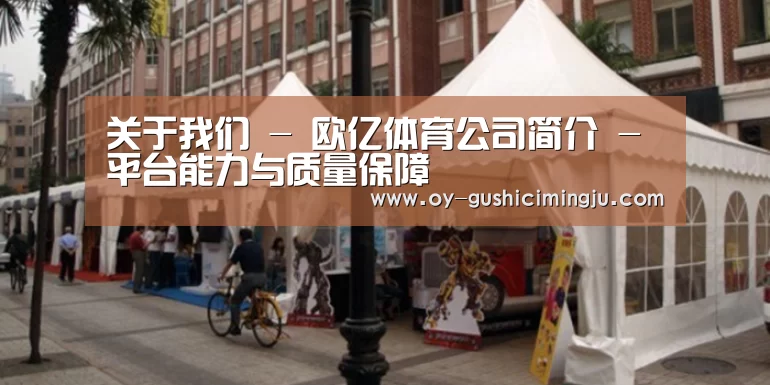 案例标题九