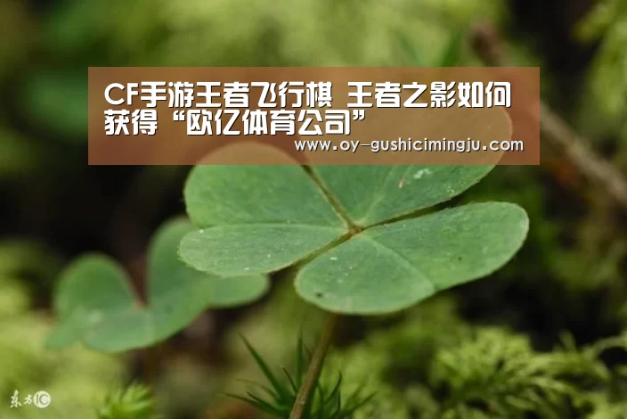 CF手游王者飞行棋 王者之影如何获得“欧亿体育公司”