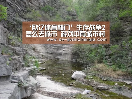 欧亿体育公司