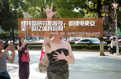 锂枝晶研究新发现，助锂电更安全‘欧亿体育官网’