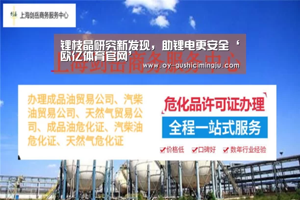 锂枝晶研究新发现,助锂电更安全‘欧亿体育官网’(图3) 欧亿体育部门