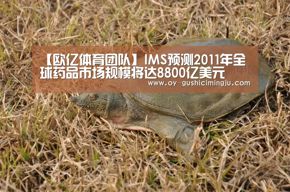 【欧亿体育团队】IMS预测2011年全球药品市场规模将达8800亿美元
