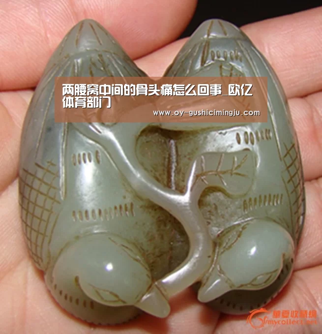 两腰窝中间的骨头痛怎么回事_欧亿体育部门(图3) 欧亿体育